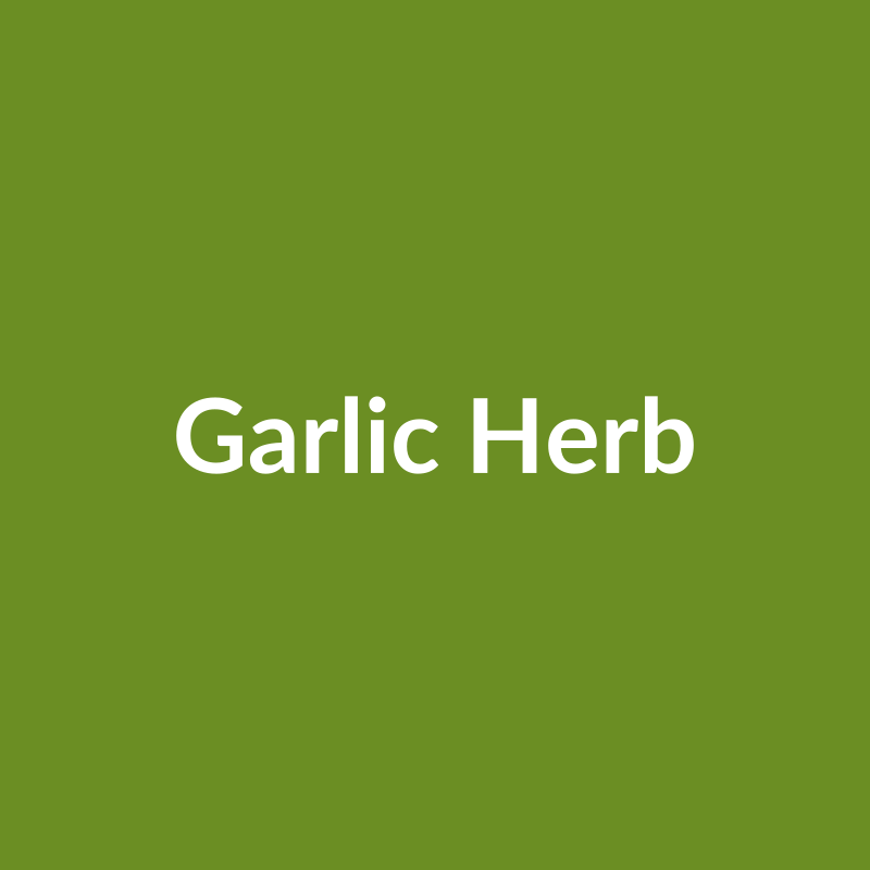 Garlic Herb