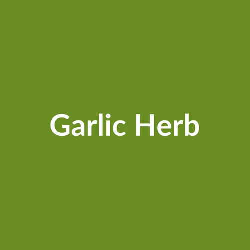 Garlic Herb